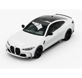forza store