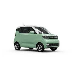 forza store